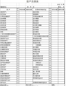2013年小企业会计准则适用财务报表样本（附审查要点）