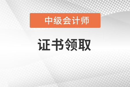 中级会计证书网上查询系统指南与管理咨询服务简介