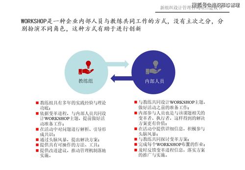 企业会计报表审查与新组织设计管理咨询项目建议书