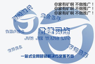 南阳心理咨询师培训学校网络推广与快速排名策略及企业会计报表审查要点