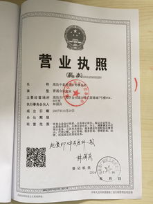 廊坊佳泽会计师事务所 企业会计报表审查服务解析